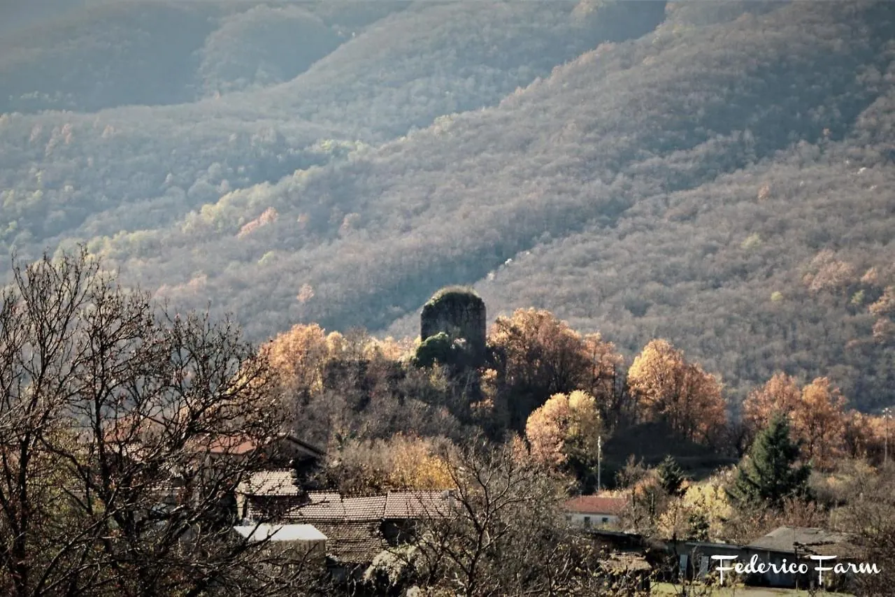 La Casa Del Sarto - Federicofarm Farm stay